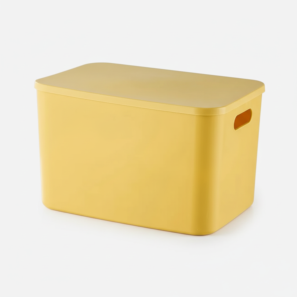 Boîte de Rangement Plastique avec Couvercle