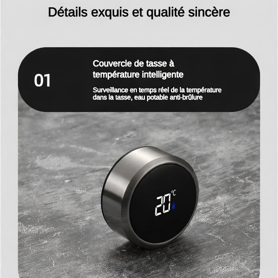 Bouteille isotherme affichage LED
